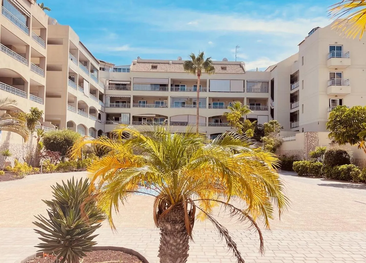 Palm Mar Penthouse Duplex 아파트
